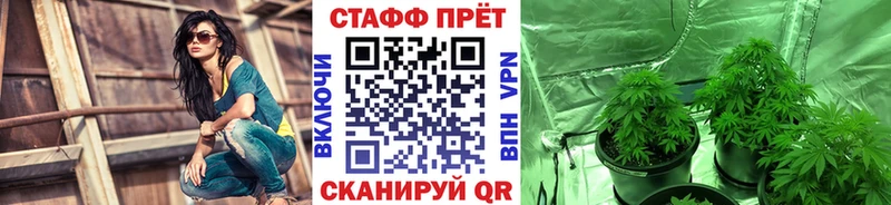 Где найти наркотики Трубчевск Альфа ПВП  Кокаин  ГАШИШ  Мефедрон  БУТИРАТ  Канабис 